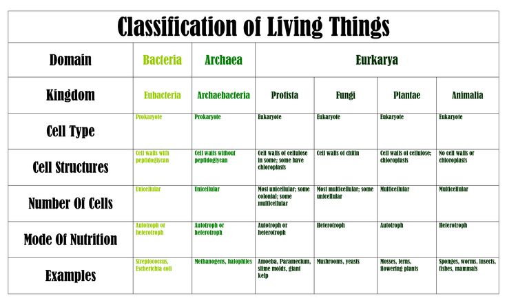 Archaebacteria Characteristics Chart